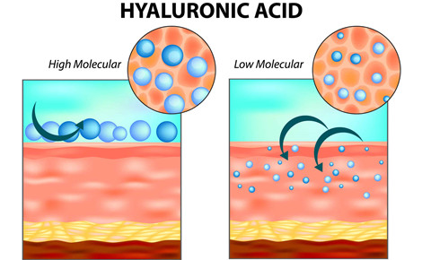Low Molecular Weight vs High Molecular Weight Sodium Hyaluronate Powder
